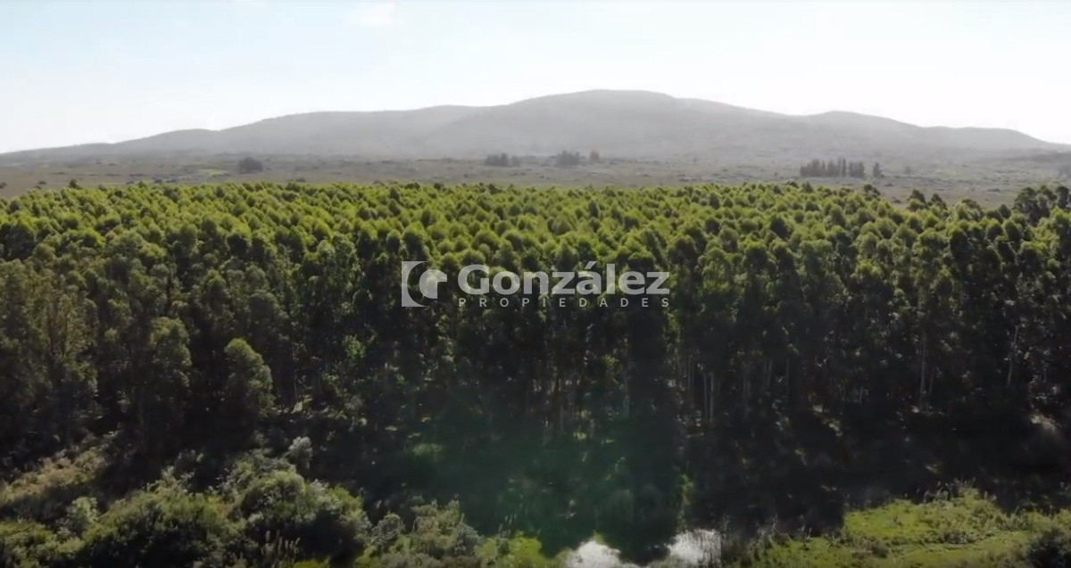 Chacra ID.340 - CAMPO IDEAL PARA INVERSIÓN TURÍSTICA