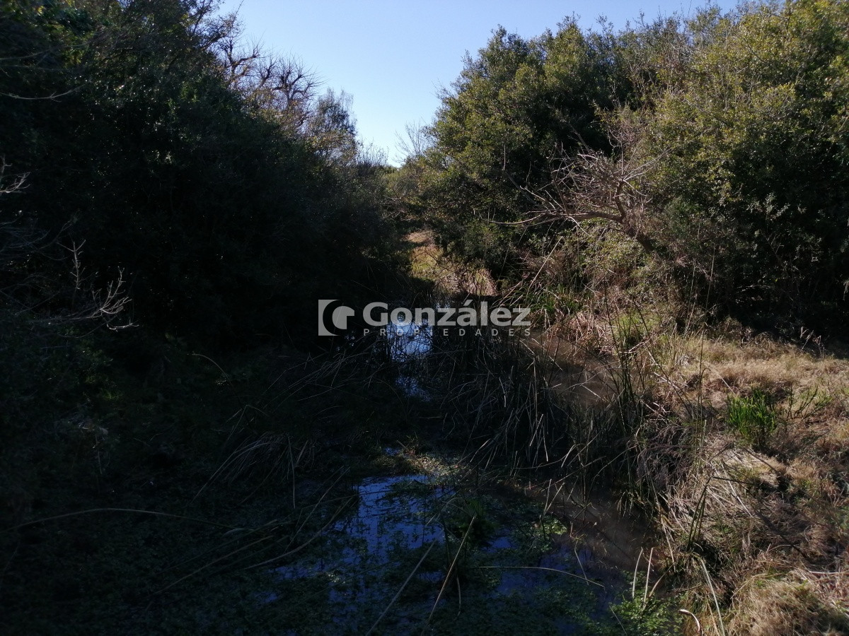 Chacra ID.340 - CAMPO IDEAL PARA INVERSIÓN TURÍSTICA