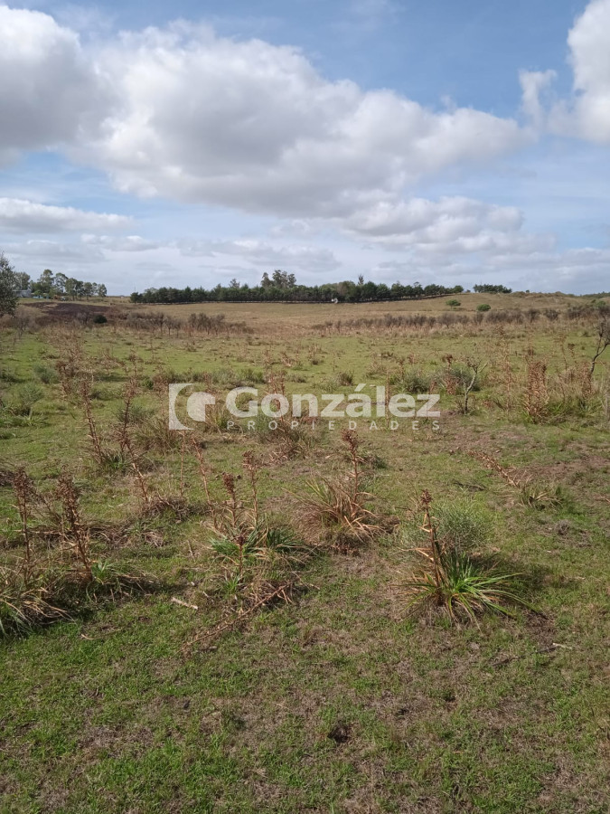 Zona Rural - GoPunta - Portal Inmobiliario de Punta del Este - Maldonado