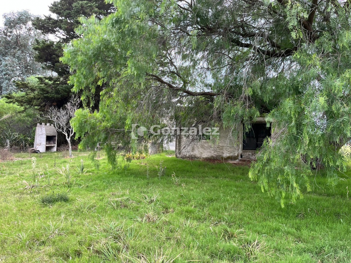 Chacra ID.587 - Chacra de 7 hectáreas próxima a Lapataia