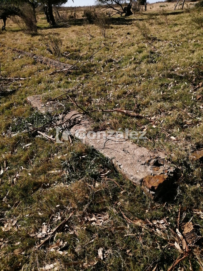 Chacra ID.340 - CAMPO IDEAL PARA INVERSIÓN TURÍSTICA