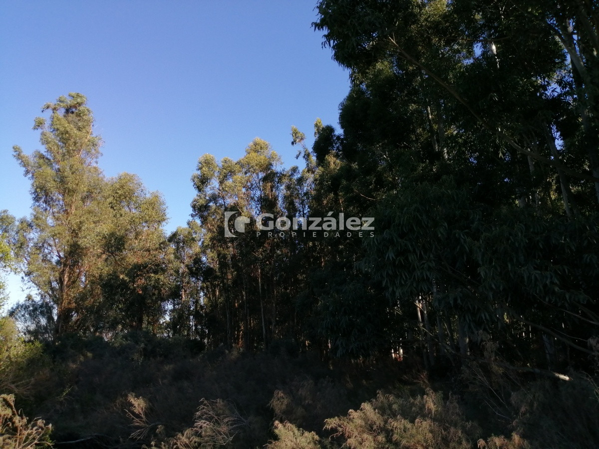 Chacra ID.340 - CAMPO IDEAL PARA INVERSIÓN TURÍSTICA