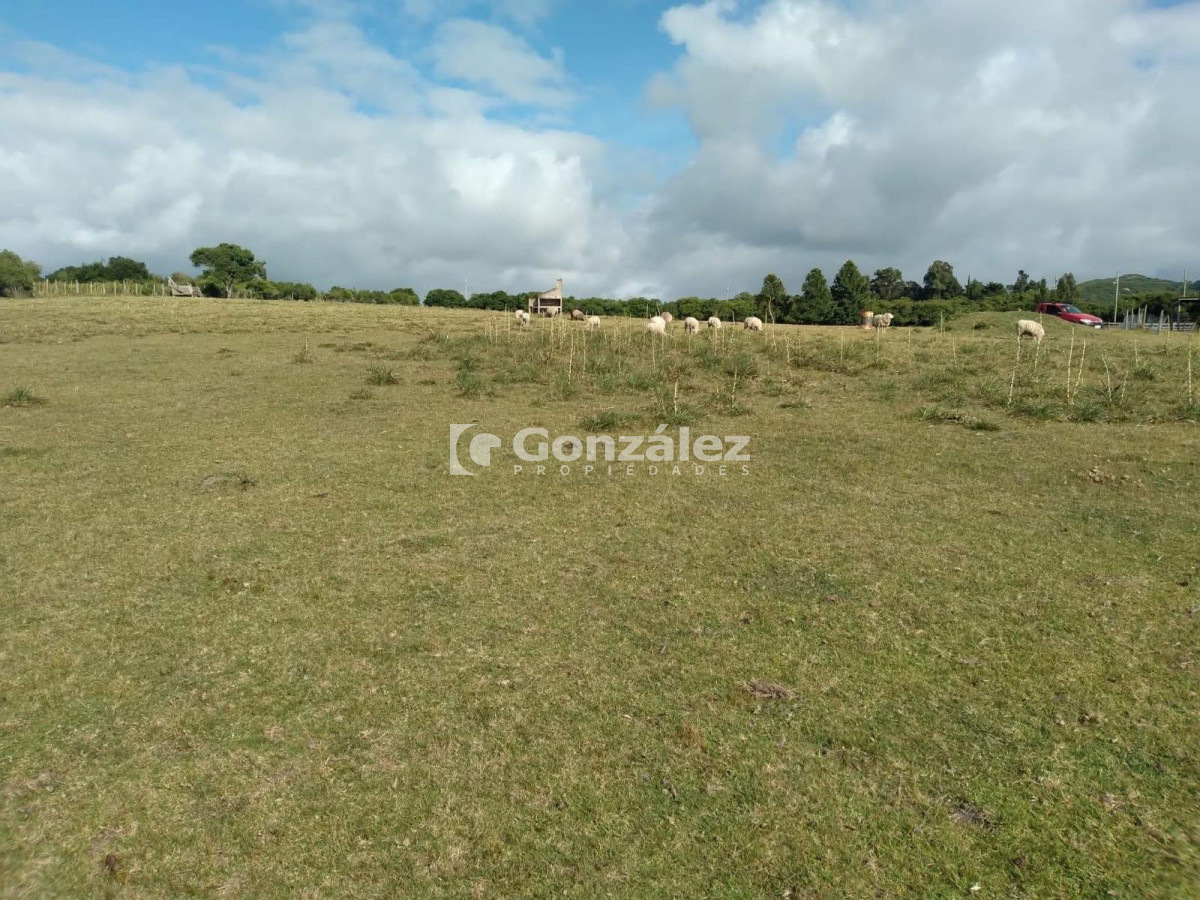 Zona Rural - GoPunta - Portal Inmobiliario de Punta del Este - Maldonado