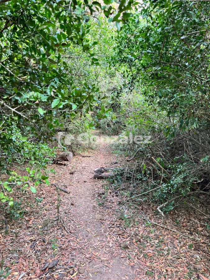 Chacra ID.587 - Chacra de 7 hectáreas próxima a Lapataia