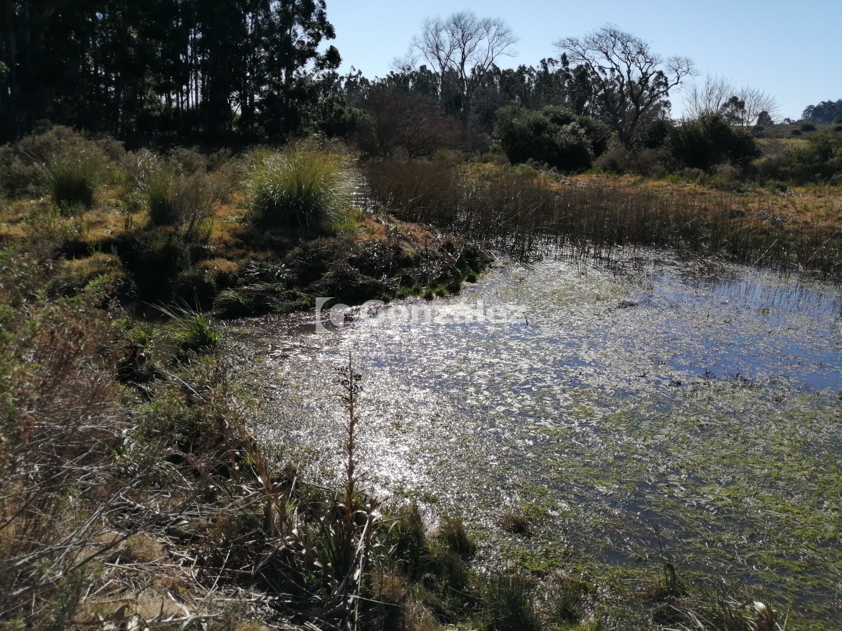 Chacra ID.340 - CAMPO IDEAL PARA INVERSIÓN TURÍSTICA