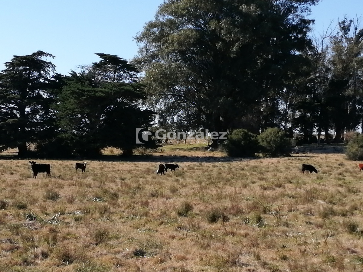 Chacra ID.340 - CAMPO IDEAL PARA INVERSIÓN TURÍSTICA
