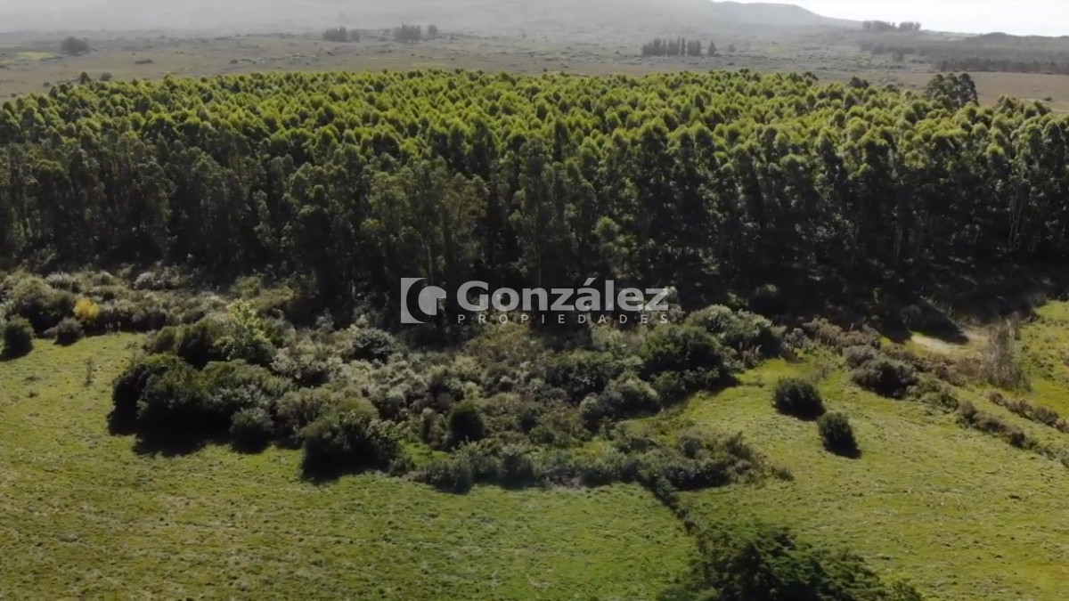 Chacra ID.340 - CAMPO IDEAL PARA INVERSIÓN TURÍSTICA