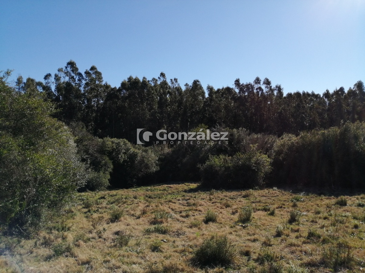 Chacra ID.340 - CAMPO IDEAL PARA INVERSIÓN TURÍSTICA