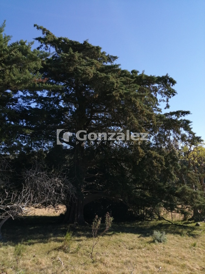 Chacra ID.340 - CAMPO IDEAL PARA INVERSIÓN TURÍSTICA