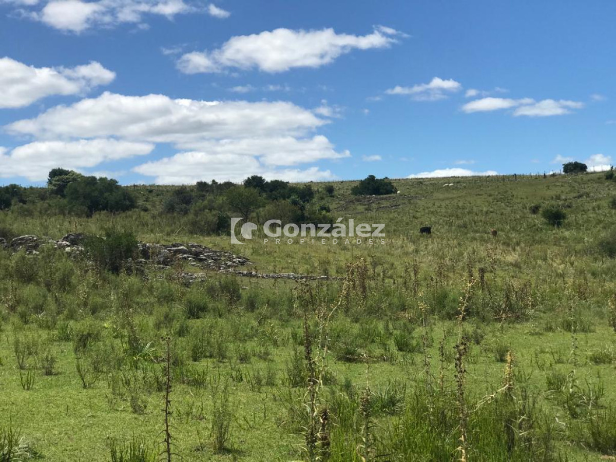 Ruta 60 - GoPunta - Portal Inmobiliario de Punta del Este - Maldonado