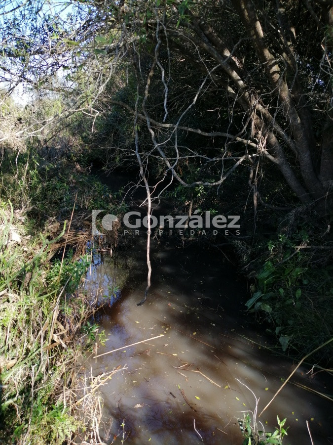 Chacra ID.340 - CAMPO IDEAL PARA INVERSIÓN TURÍSTICA