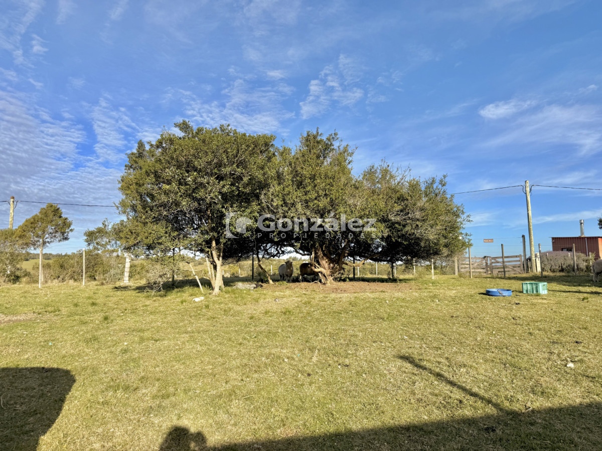 Chacra ID.847 - Chacra en venta 2 hectareas Maldonado