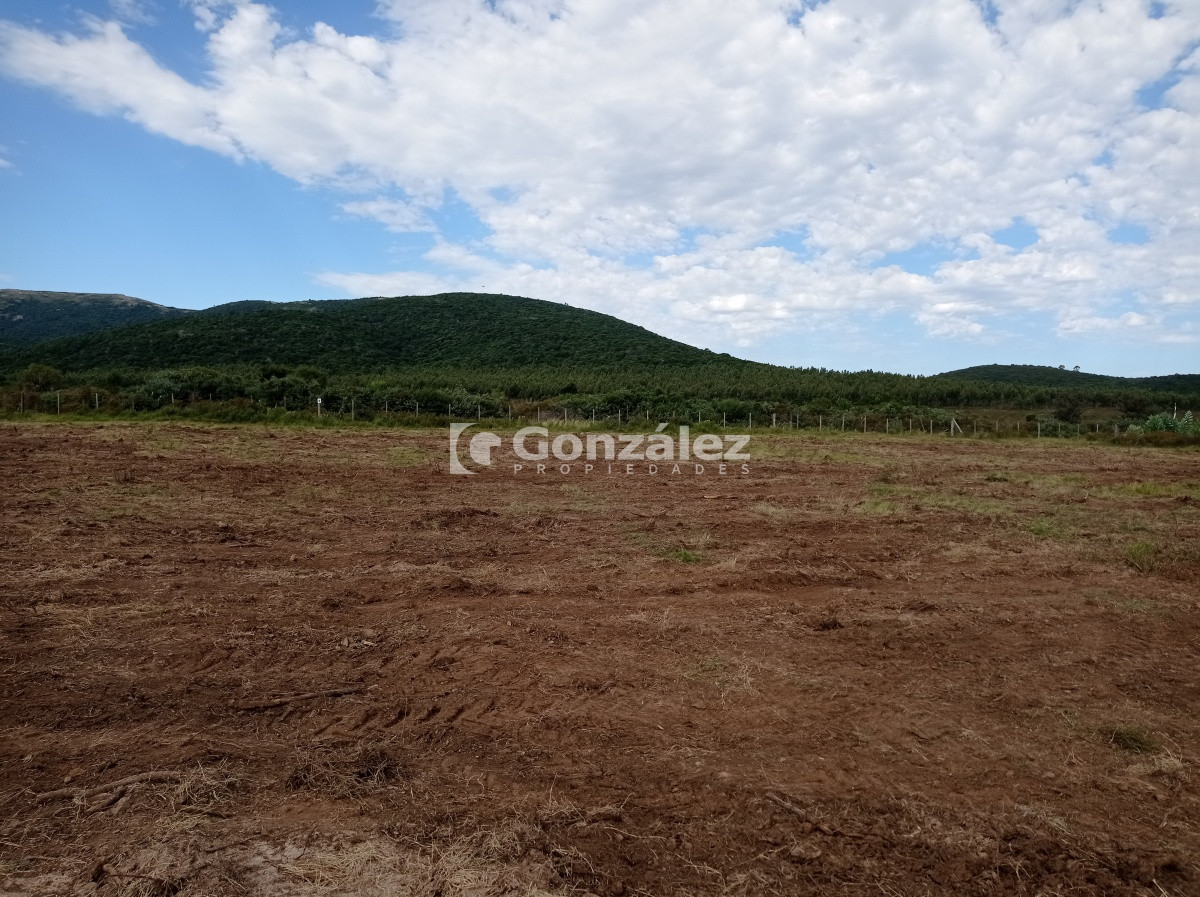 Chacra ID.524 - CHACRAS DEL PATIO ANDALUZ, CERROS AZULES, MALDONADO