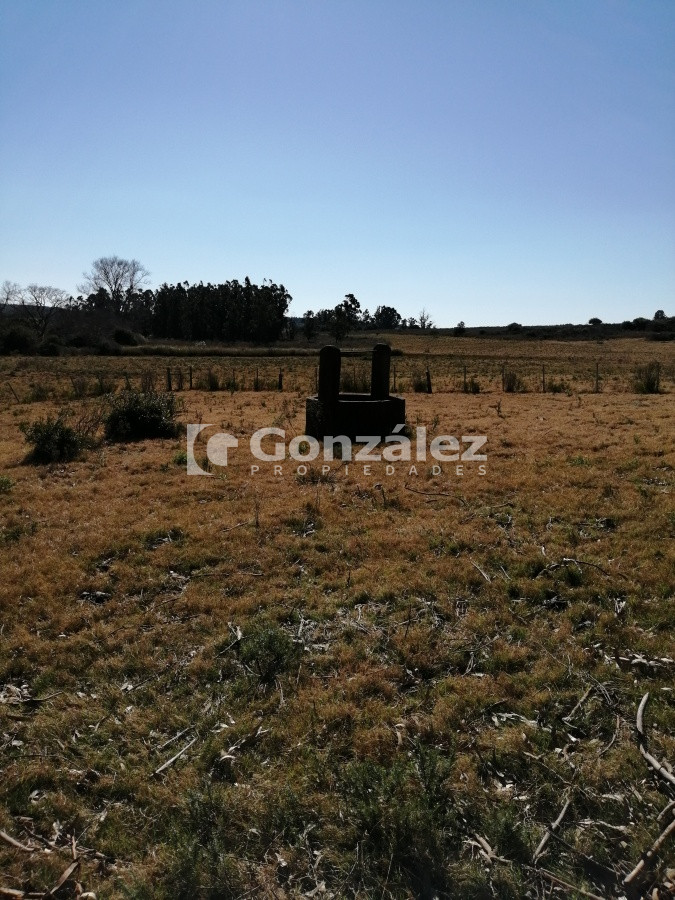 Chacra ID.340 - CAMPO IDEAL PARA INVERSIÓN TURÍSTICA