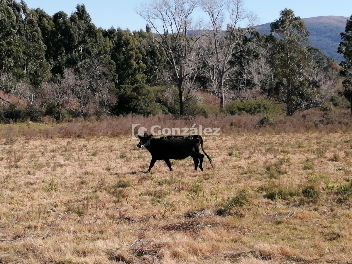 Chacra ID.340 - CAMPO IDEAL PARA INVERSIÓN TURÍSTICA