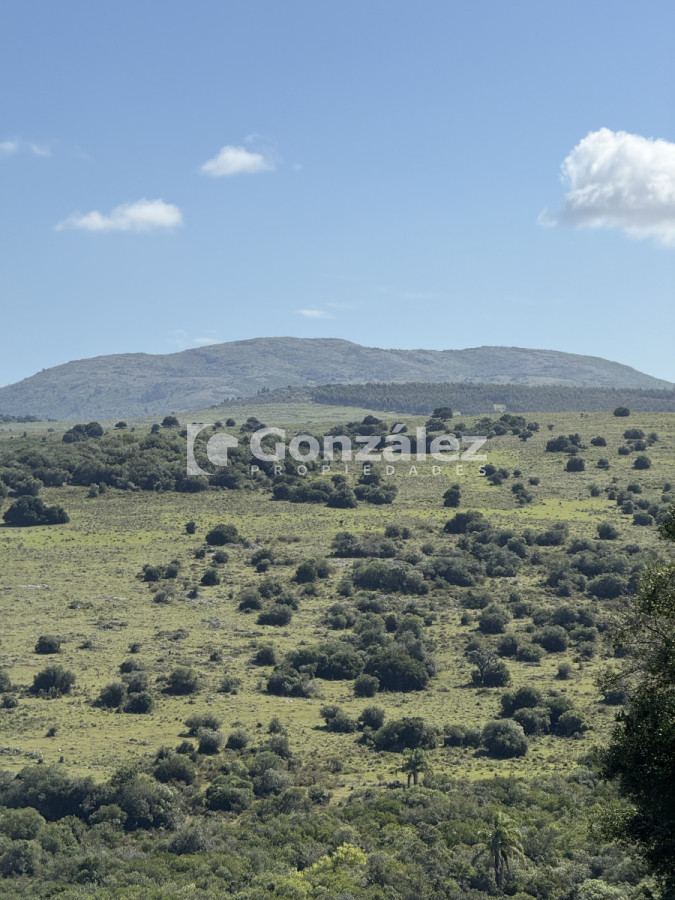 Chacra ID.796 - Venta Chacra 6,4 Has con Casa Ruta 60 Maldonado