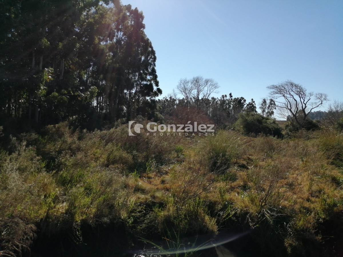 Chacra ID.340 - CAMPO IDEAL PARA INVERSIÓN TURÍSTICA
