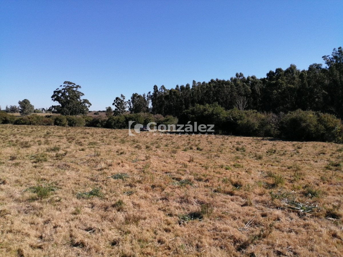 Chacra ID.340 - CAMPO IDEAL PARA INVERSIÓN TURÍSTICA