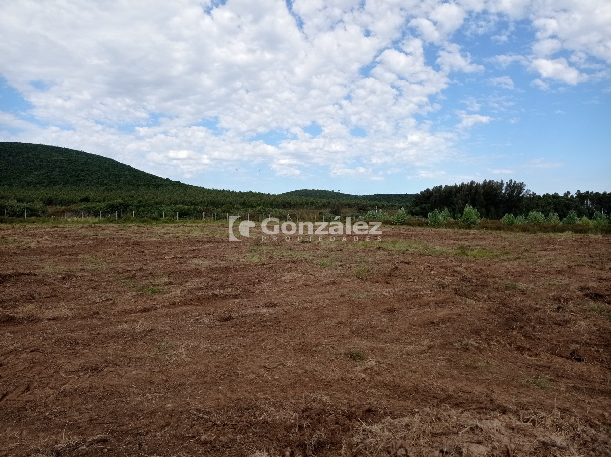 Chacra ID.524 - CHACRAS DEL PATIO ANDALUZ, CERROS AZULES, MALDONADO