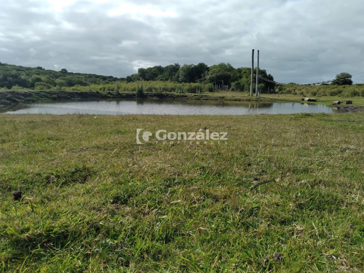 Zona Rural - GoPunta - Portal Inmobiliario de Punta del Este - Maldonado