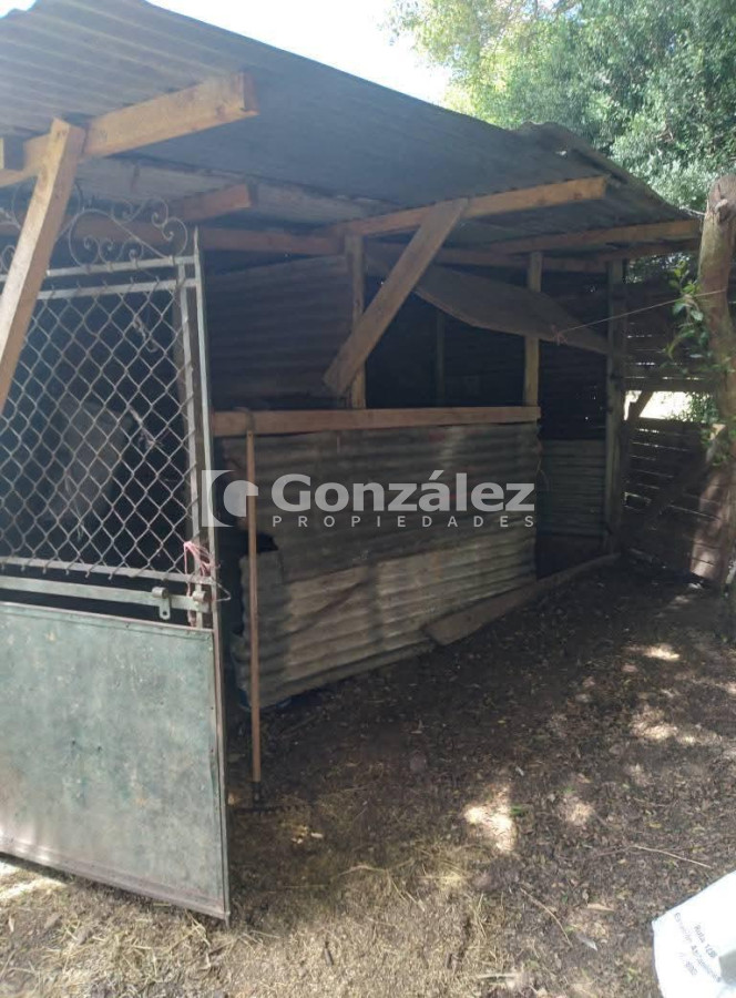 Chacra ID.800 - Chacra en venta 6 has proximidades Pan De Azucar Maldonado