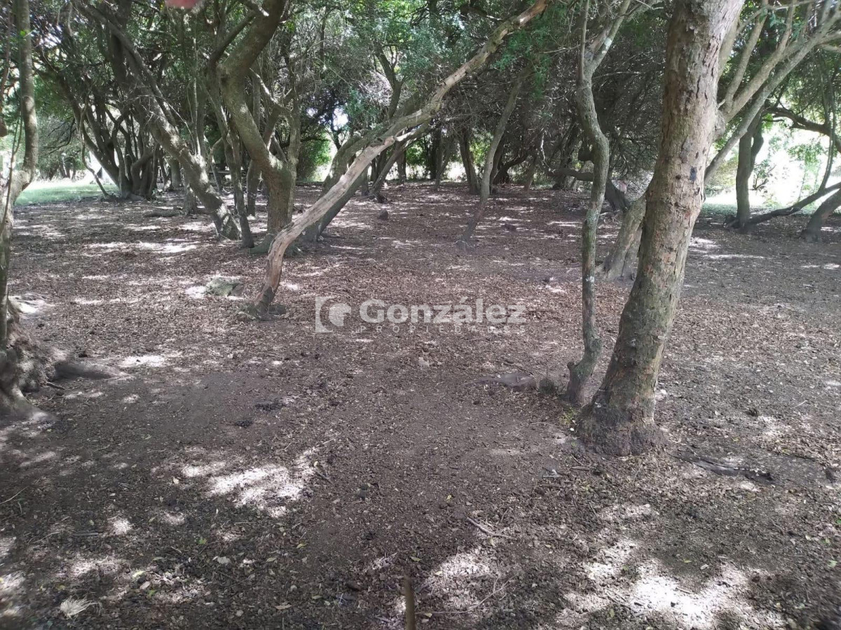 Chacra ID.800 - Chacra en venta 6 has proximidades Pan De Azucar Maldonado