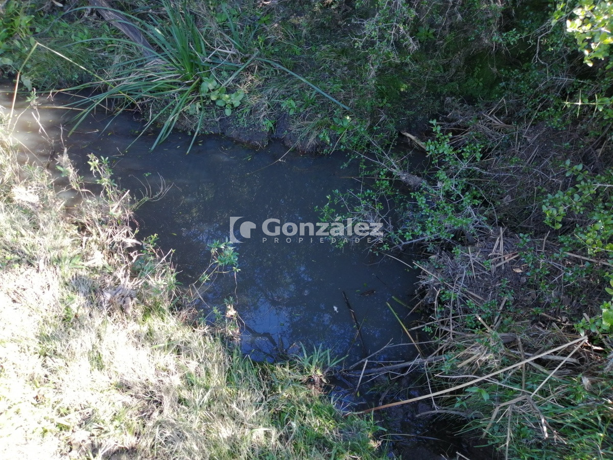 Chacra ID.340 - CAMPO IDEAL PARA INVERSIÓN TURÍSTICA
