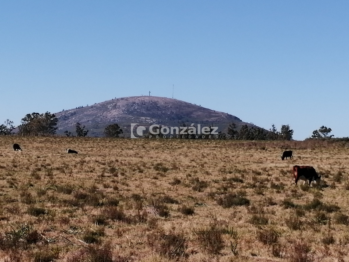 Chacra ID.340 - CAMPO IDEAL PARA INVERSIÓN TURÍSTICA