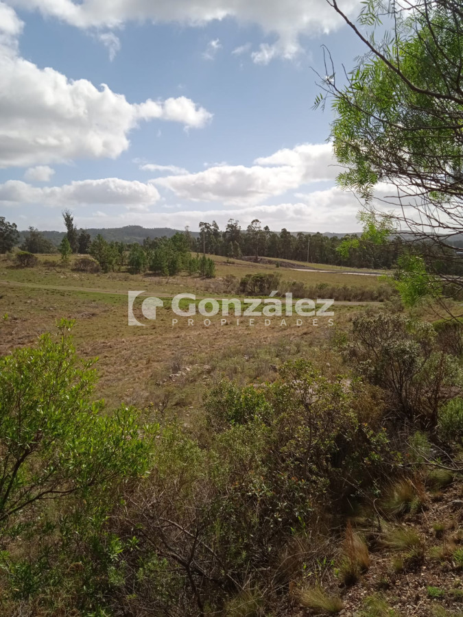 Zona Rural - GoPunta - Portal Inmobiliario de Punta del Este - Maldonado