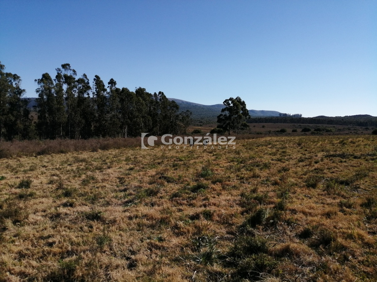 Chacra ID.340 - CAMPO IDEAL PARA INVERSIÓN TURÍSTICA