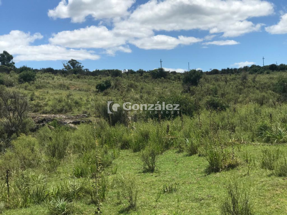 Chacra ID.717 - Chacra de 8 hectáreas  