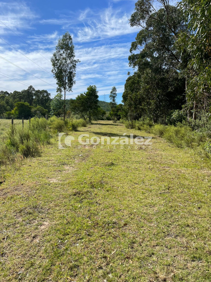 Chacra ID.811 - Chacra 5has financiada en Cerros Azules Maldonado