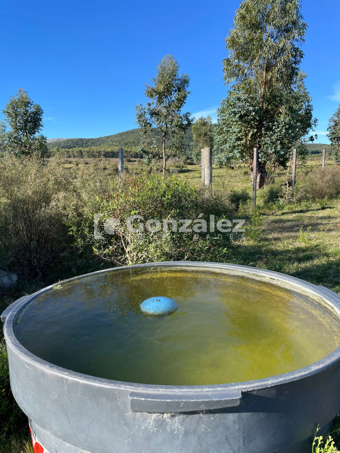 Chacra ID.811 - Chacra 5has financiada en Cerros Azules Maldonado