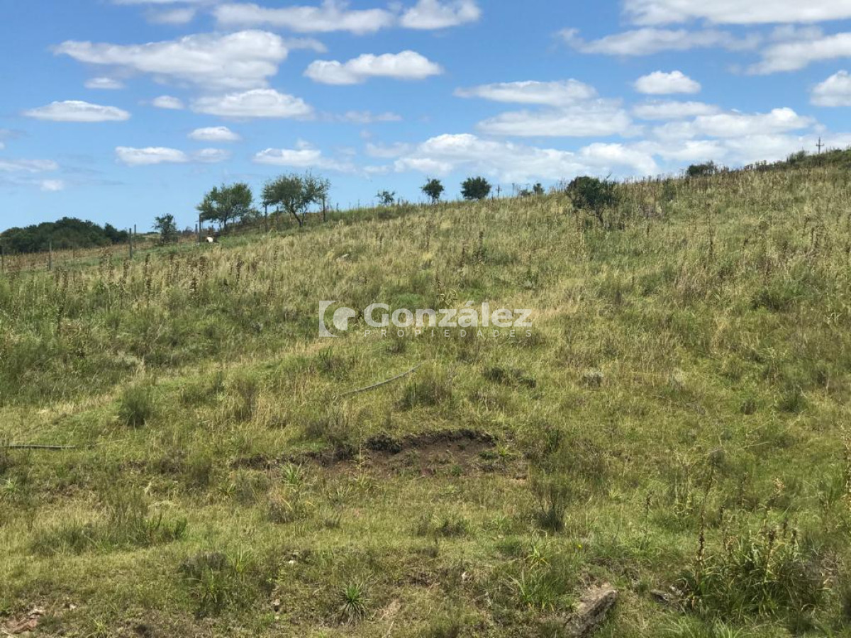 Ruta 60 - GoPunta - Portal Inmobiliario de Punta del Este - Maldonado