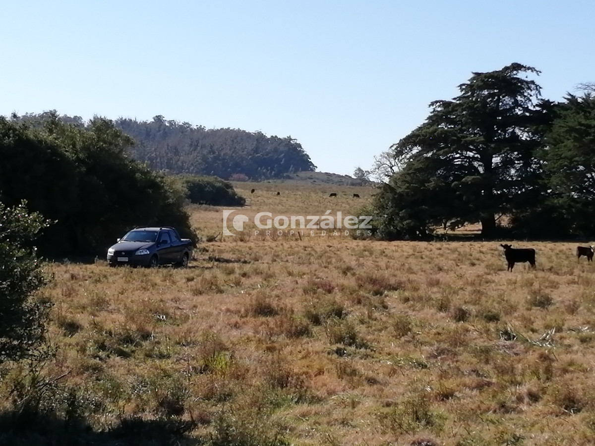 Chacra ID.340 - CAMPO IDEAL PARA INVERSIÓN TURÍSTICA