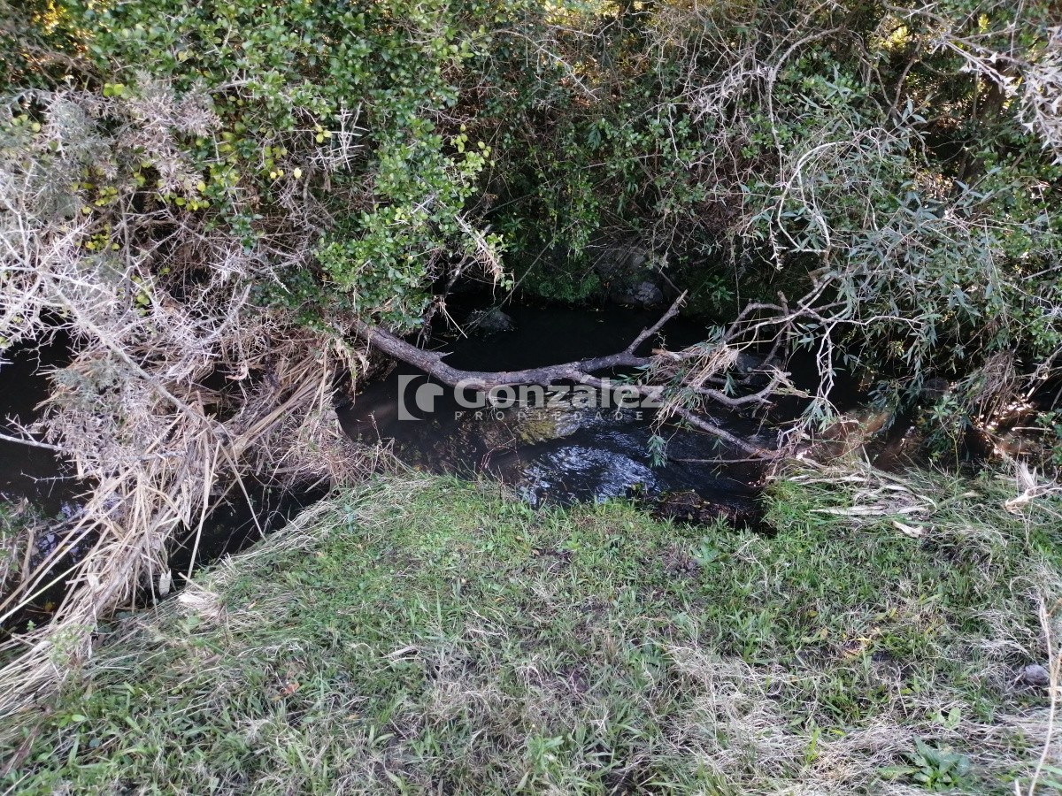 Chacra ID.340 - CAMPO IDEAL PARA INVERSIÓN TURÍSTICA