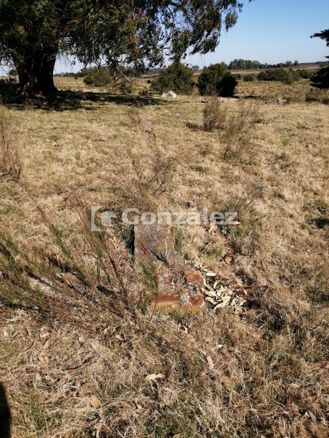 Chacra ID.340 - CAMPO IDEAL PARA INVERSIÓN TURÍSTICA