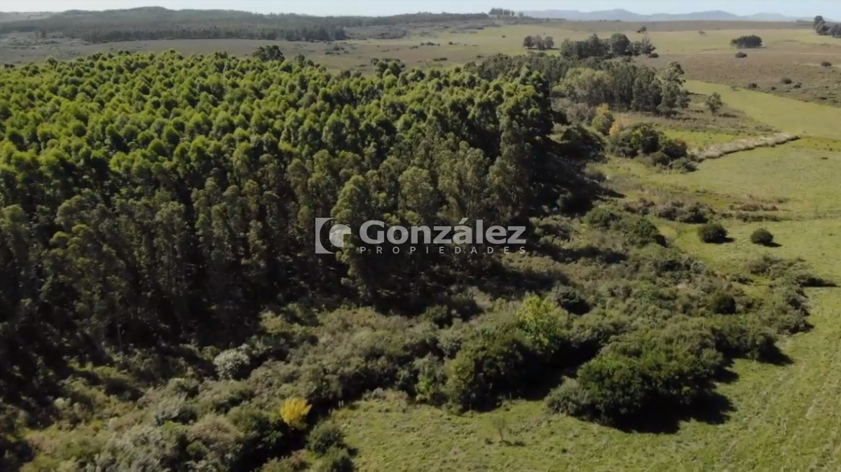 Chacra ID.340 - CAMPO IDEAL PARA INVERSIÓN TURÍSTICA