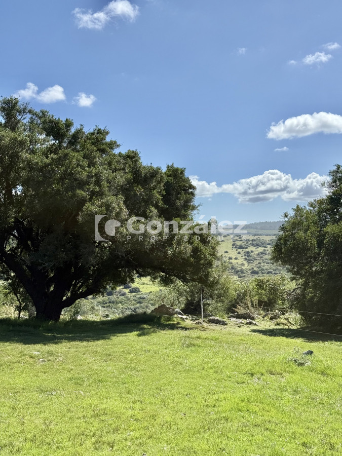 Chacra ID.796 - Venta Chacra 6,4 Has con Casa Ruta 60 Maldonado