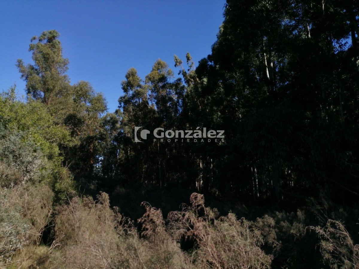 Chacra ID.340 - CAMPO IDEAL PARA INVERSIÓN TURÍSTICA