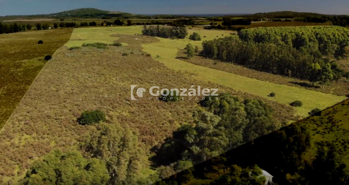 Chacra ID.340 - CAMPO IDEAL PARA INVERSIÓN TURÍSTICA