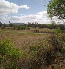 chacras  de  5 has Ruta  12 prox. de  Ruta 60