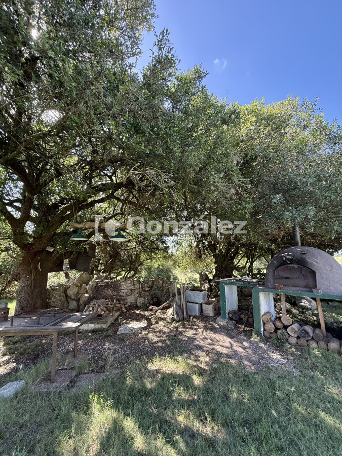Campo Ref.783 - Venta Chacra 6,4 Has con Casa Ruta 60 Maldonado