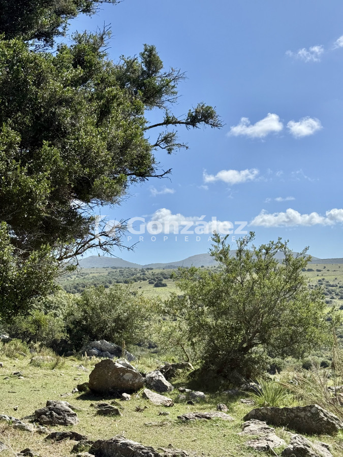 Campo Ref.783 - Venta Chacra 6,4 Has con Casa Ruta 60 Maldonado