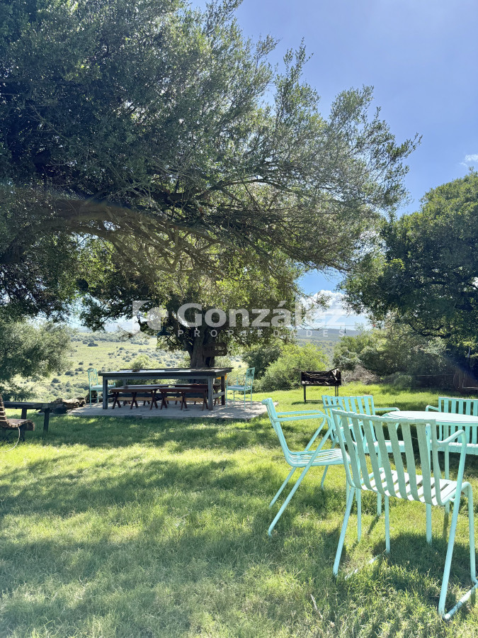 Campo Ref.783 - Venta Chacra 6,4 Has con Casa Ruta 60 Maldonado