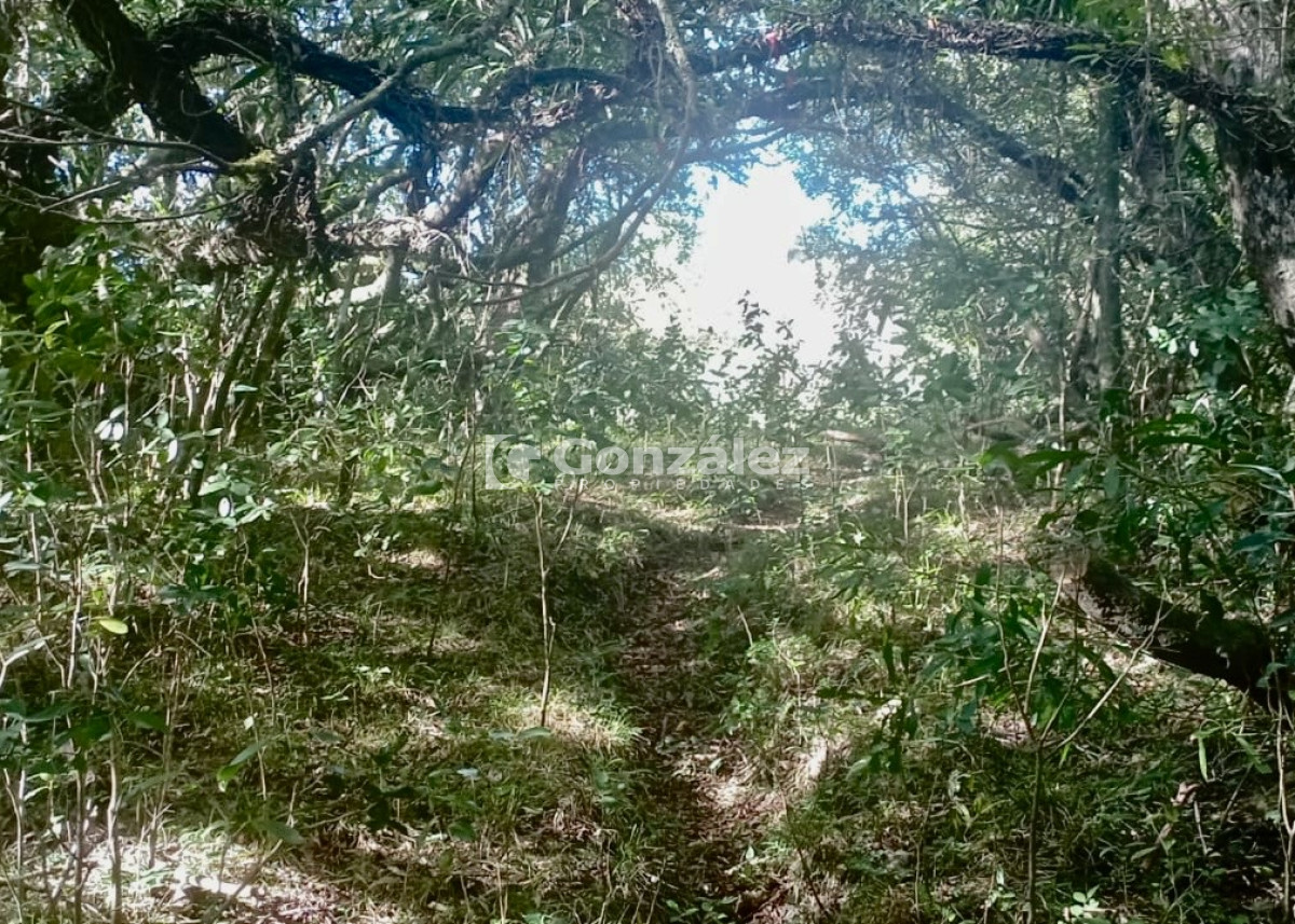 Campo Ref.783 - Venta Chacra 6,4 Has con Casa Ruta 60 Maldonado