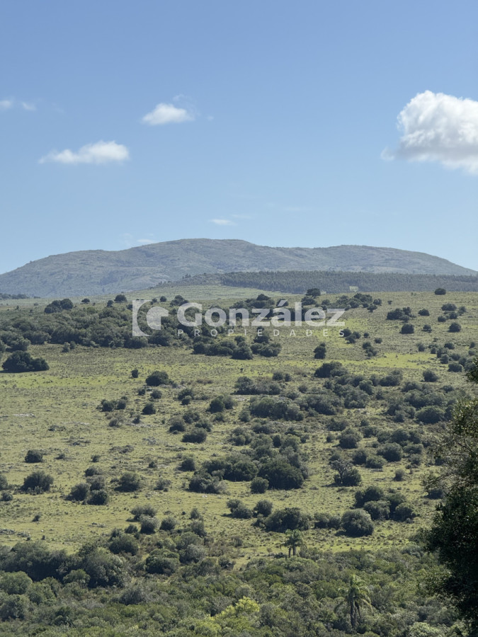 Campo Ref.783 - Venta Chacra 6,4 Has con Casa Ruta 60 Maldonado