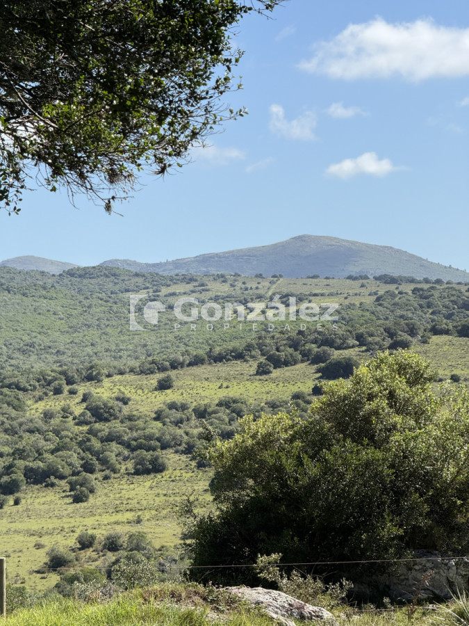 Campo Ref.783 - Venta Chacra 6,4 Has con Casa Ruta 60 Maldonado