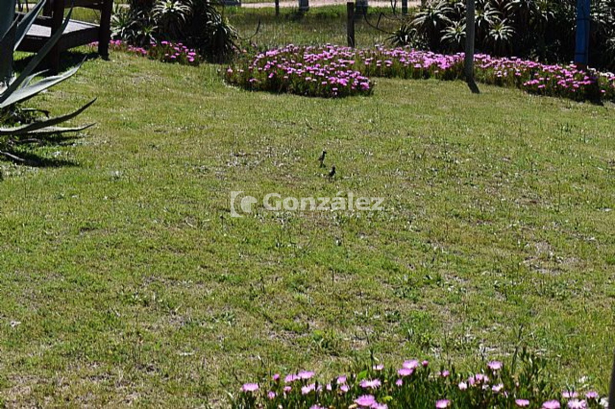 Local Comercial ID.493 - Local en Punta Del Diablo, Punta del Diablo