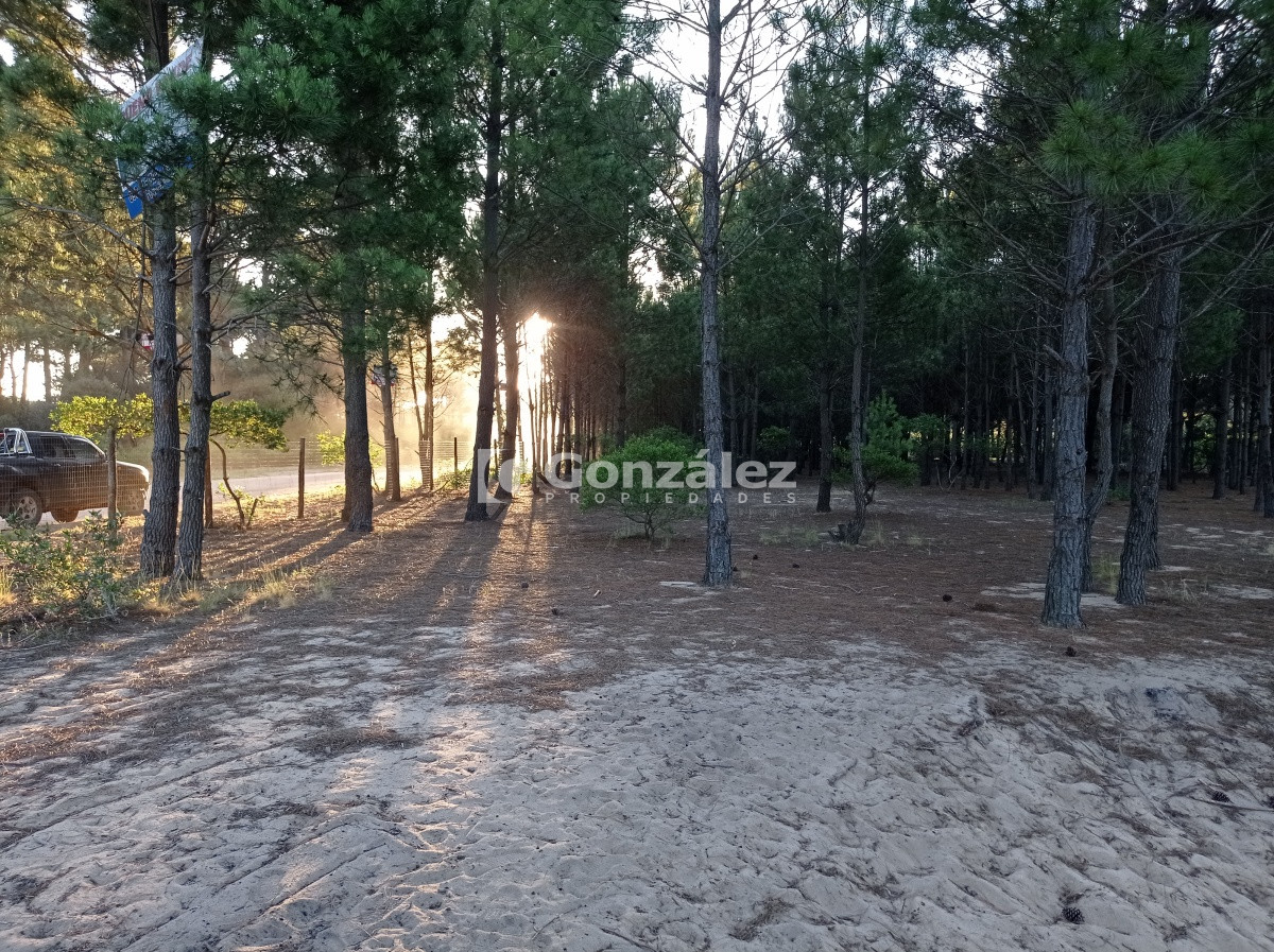 Terreno ID.503 - Terreno de Grandes Dimensiones con costa arroyo en Chihuahua